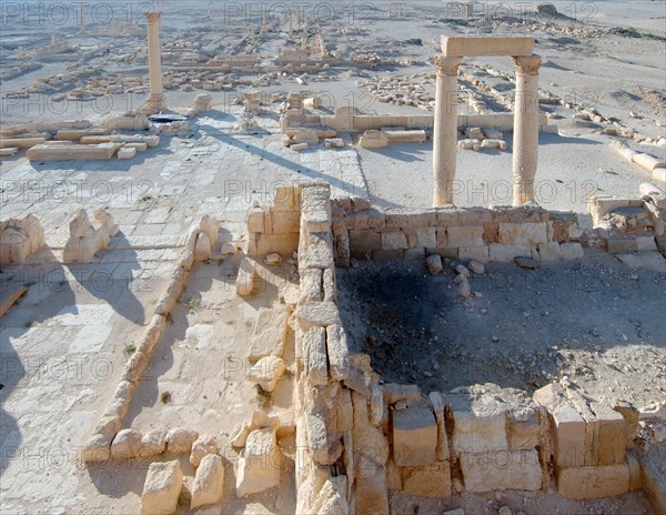 Ruins of the ancient city of Palmyra in the morning light