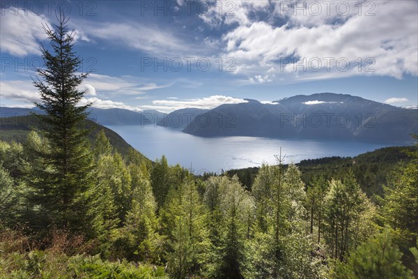 Sognefjord near Kaupanger