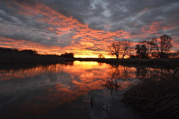 Sunrise over the Leiner See lake in the Middle Elbe Biosphere Reserve