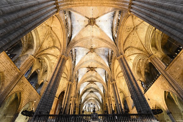 Nave