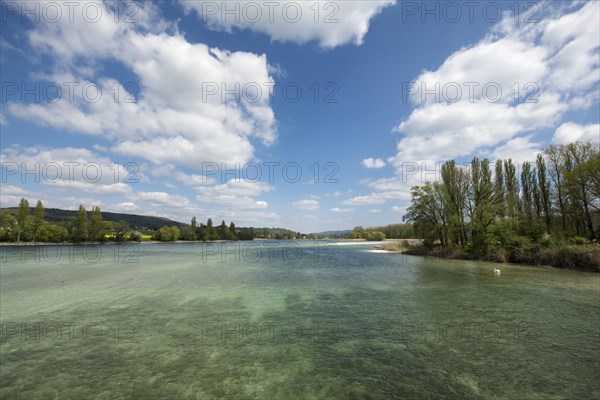 The Rhine near Eschenz