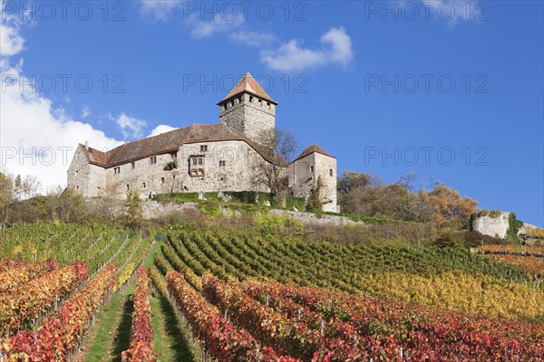 Lichtenberg Castle