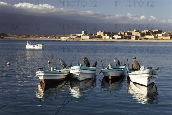Fishing boats