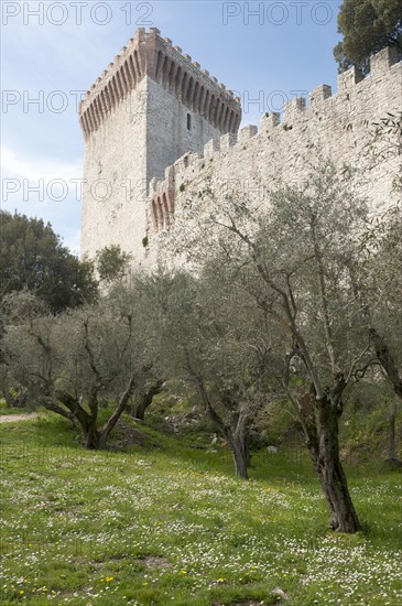 Fortress wall and tower
