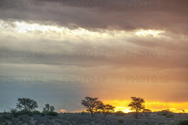 Storm clouds over the dunes in the Auob Valley