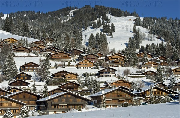 Swiss chalets in a winter landscape in Saanenland