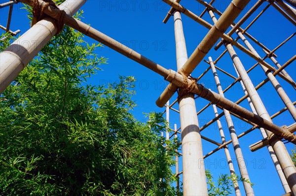 Bamboo scaffolding