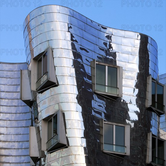 Gehry Buildings