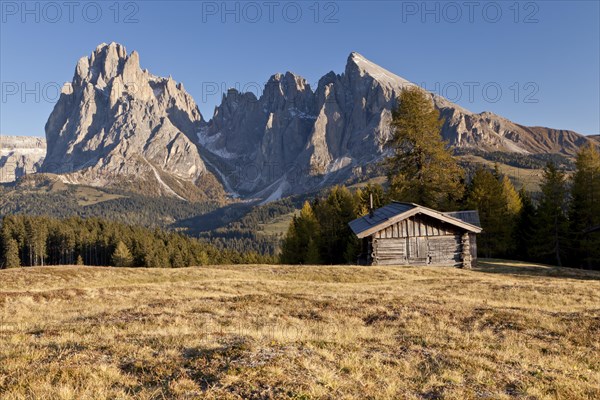 Alpe di Siusi mountain pasture