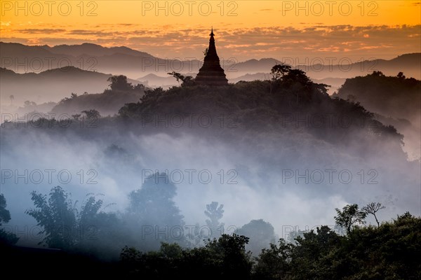Pagoda surrounded by trees