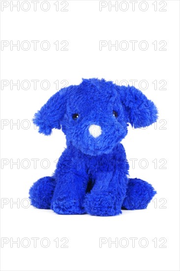 Blue dog