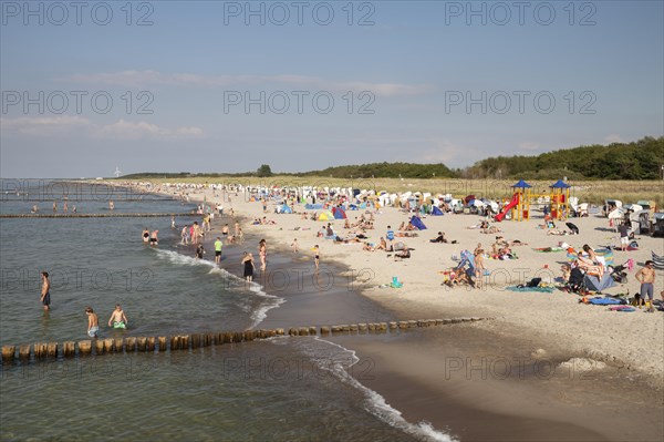 Sandy beach and coast