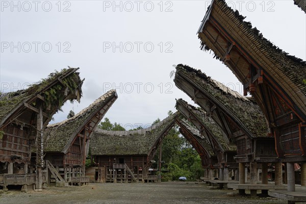 Traditional Tongkonan storage houses