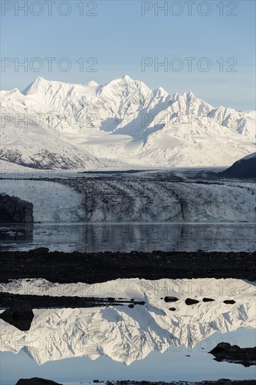 Harvard Glacier and Mt. Gilbert Lewis