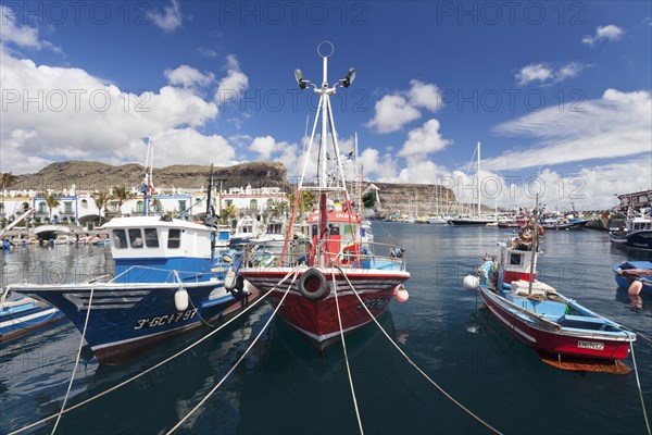 Fishing boats in the harbor
