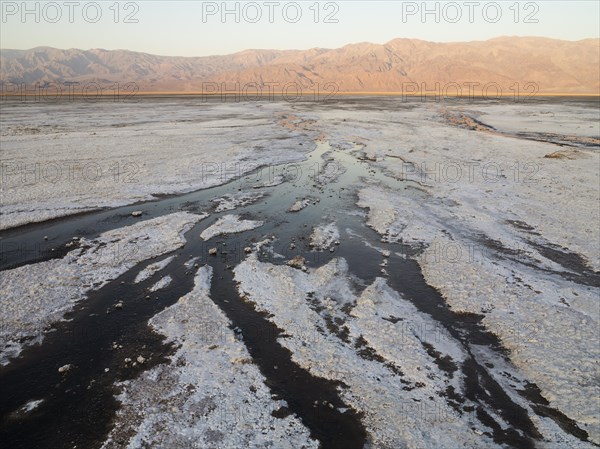 Salt marshes in the morning