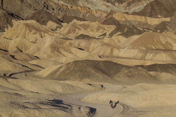 Cyclist riding on the road through the badlands of the 'Twenty Mule Team Canyon' in the morning light