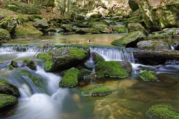 Sagwasser creek in the Felswandergebiet hiking area