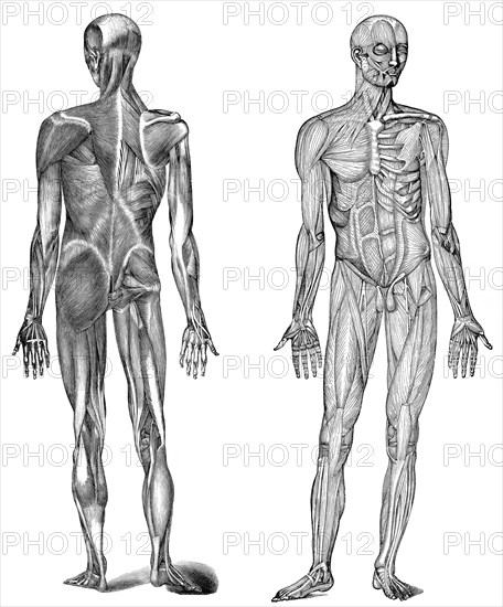 Historical illustration