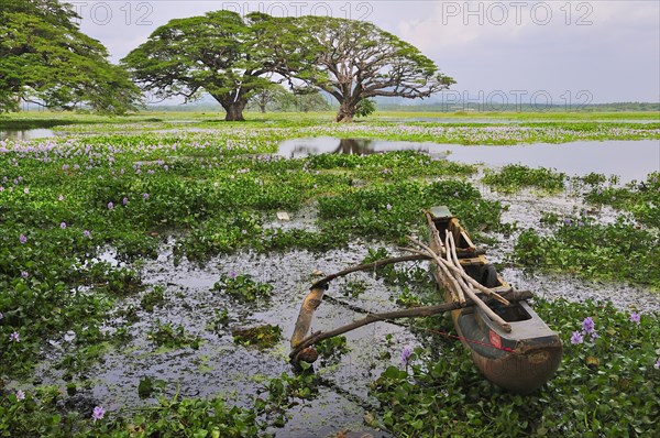 Outrigger canoe on the banks of the artificial lake Tissa Wewa