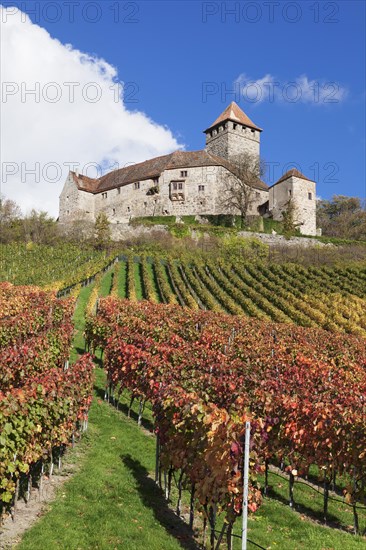 Lichtenberg Castle