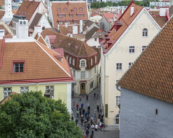 Alley in the historic town centre