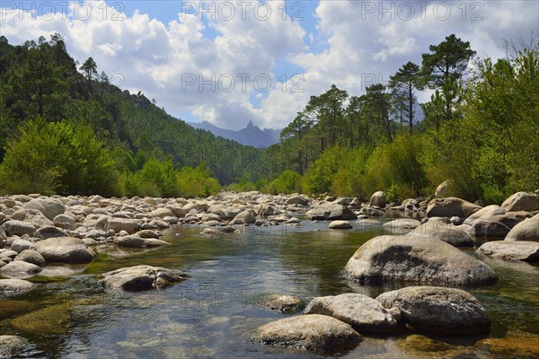 Riverbed of the Solenzara River in the Aiguilles de Bavella