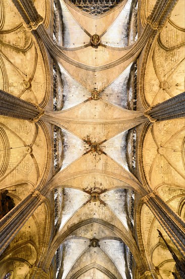 Nave