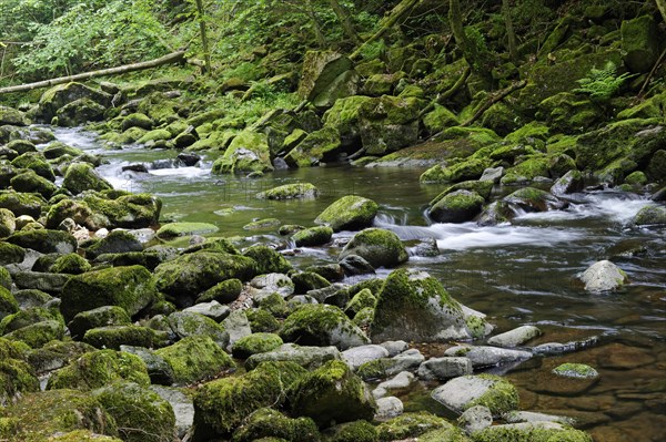 Wolfsteiner Ohe river