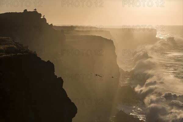 Surf below the coastal cliffs