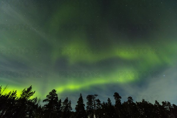 Northern Lights
