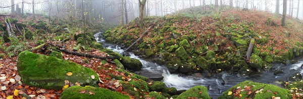 Stream with moss-covered basalt stones