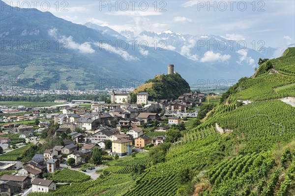 Vineyards and the Bayart Tower on a hill