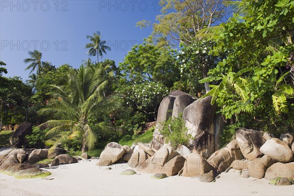 Sandy beach with granite rocks