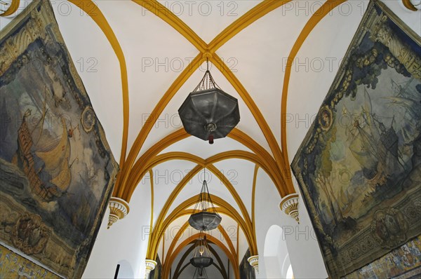 Ceiling vaults