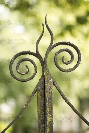 Ornament on old metal gate