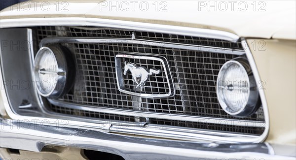 Radiator grill
