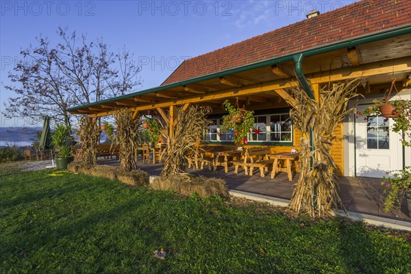 Tavern in the morning light