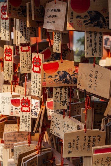 Written wishes to deities on small wooden boards