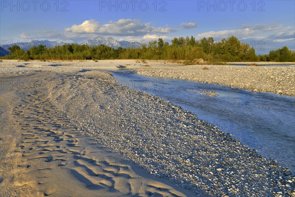 Tagliamento braided river