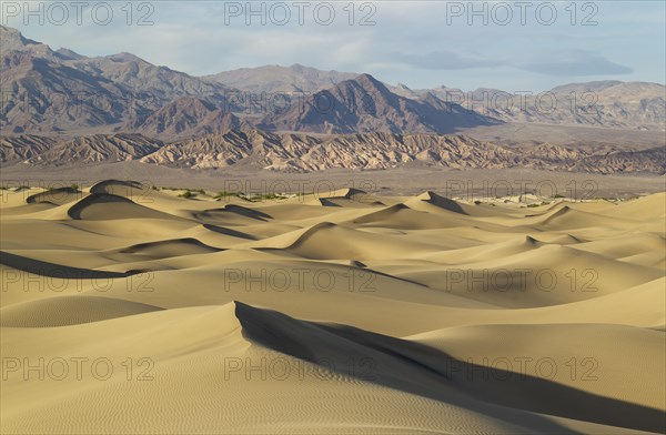 Mesquite Flat Sand Dunes in the evening light