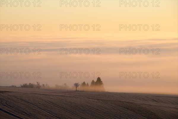 Early morning at Witthoh ridge