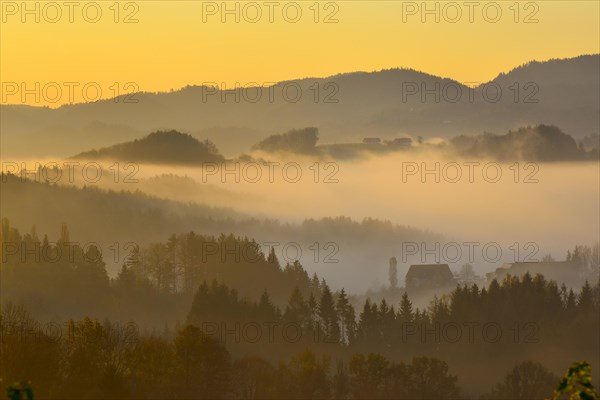 Morning mist in the Southern Styrian hill country