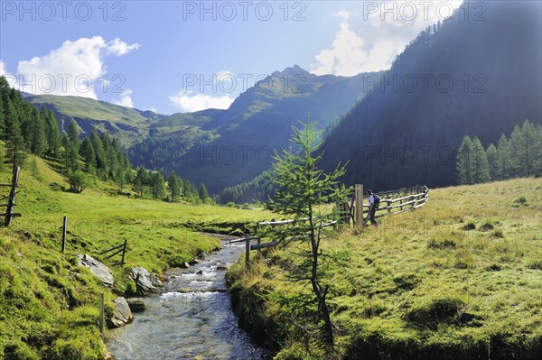 Mountain stream in the Alps