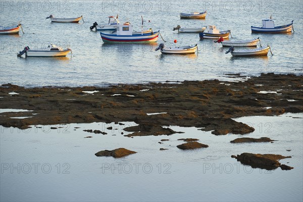 Fishing boats in the evening light
