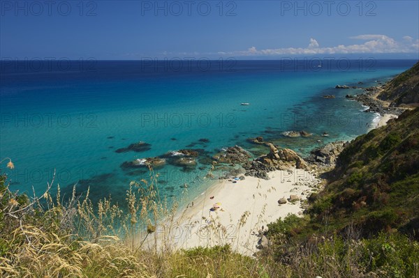 Coast