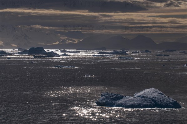 Moody light over the icebergs and glaciers