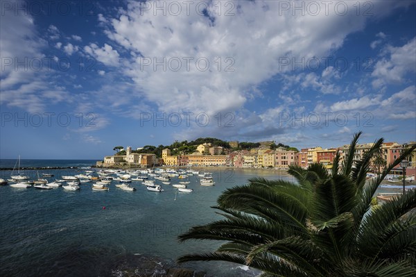 Townscape