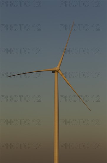 Windmill in the evening light on a wind farm near Sanlucar de Barrameda