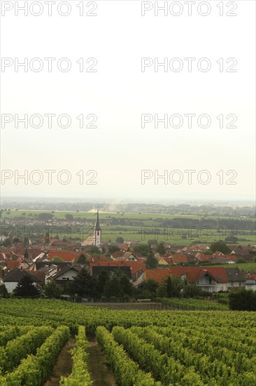 The village of Maikammer